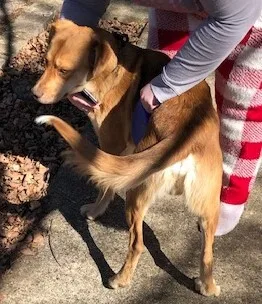 Theodore Aka Theo!!! thumbnail 5