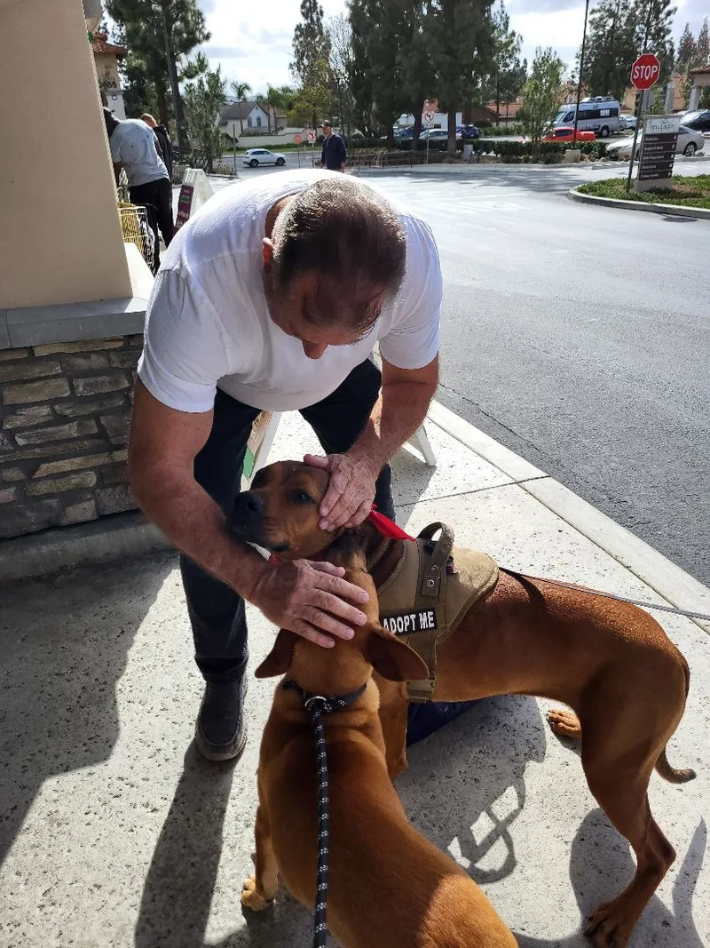 Lucy I'm Home! Part thumbnail 2