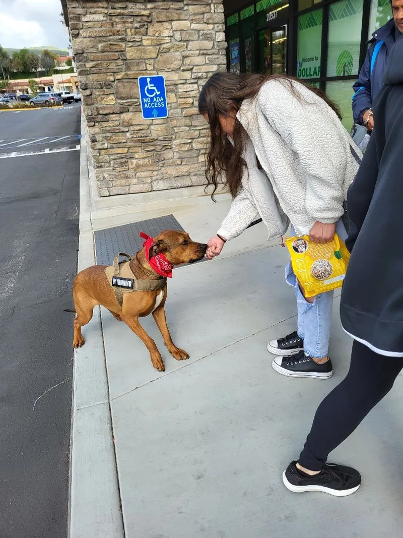 Lucy I'm Home! Part thumbnail 4