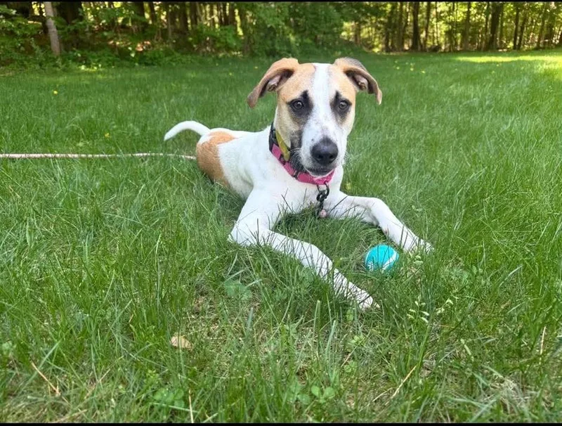 Abby thumbnail 2