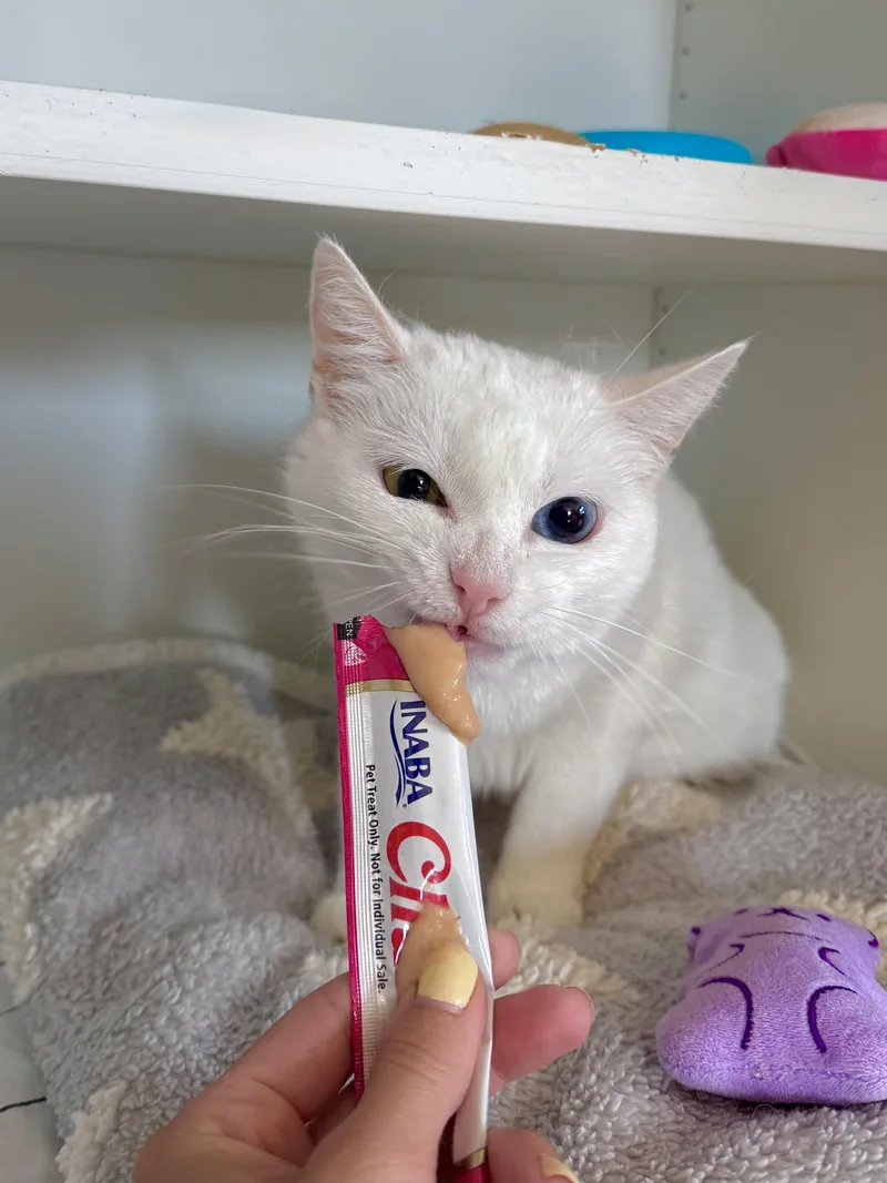 Eclair thumbnail 2