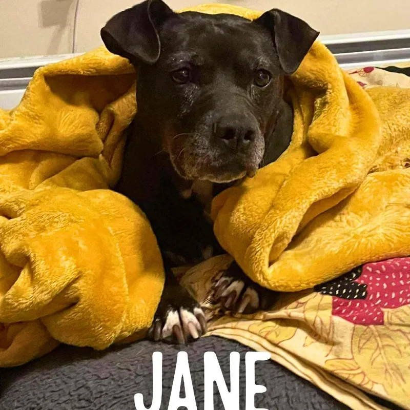 Jane