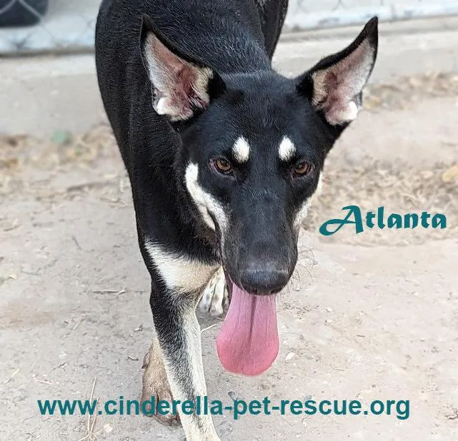 Atlanta thumbnail 4