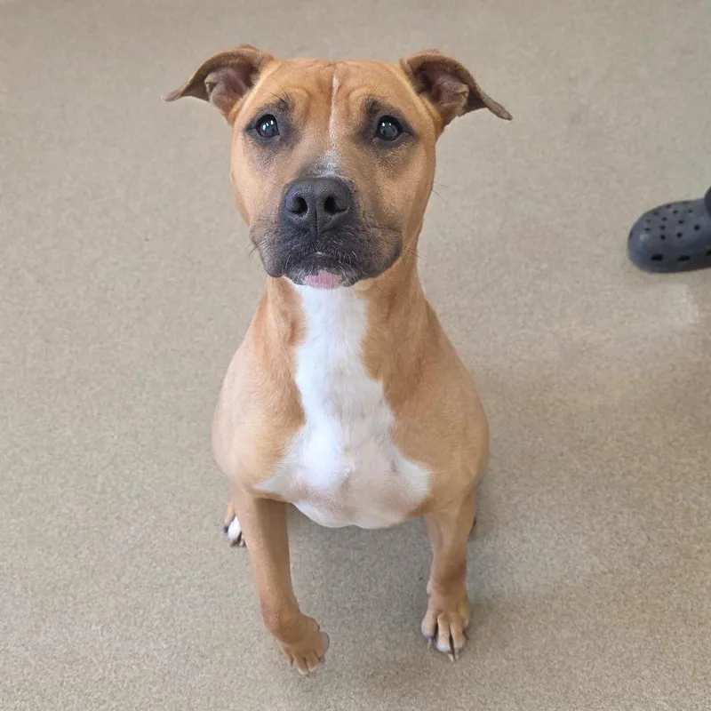 Mary Puppins thumbnail 2