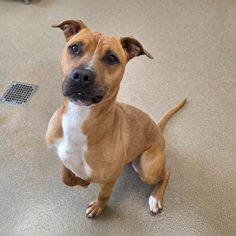 Mary Puppins thumbnail 3