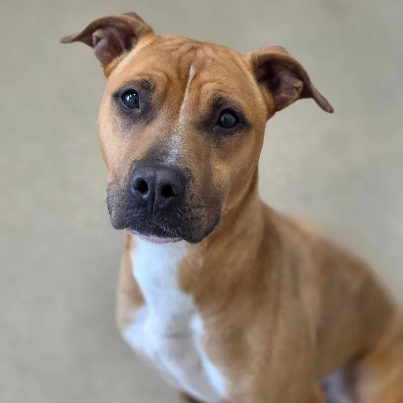 Mary Puppins thumbnail 4