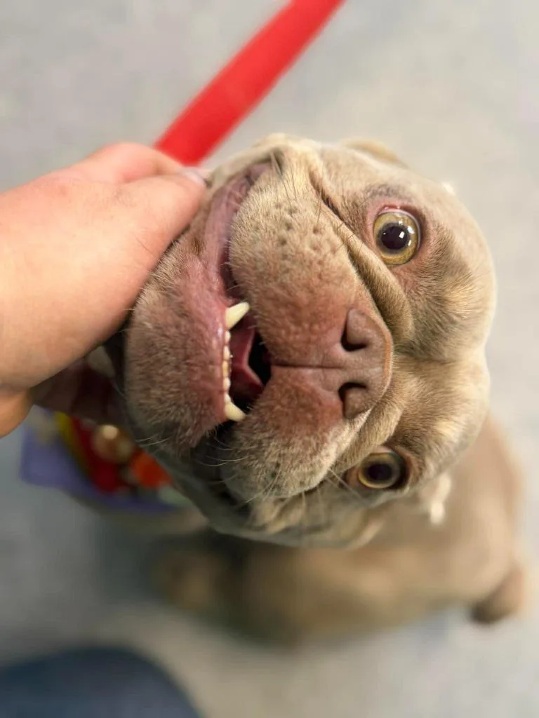 Hazel Lynn thumbnail 2