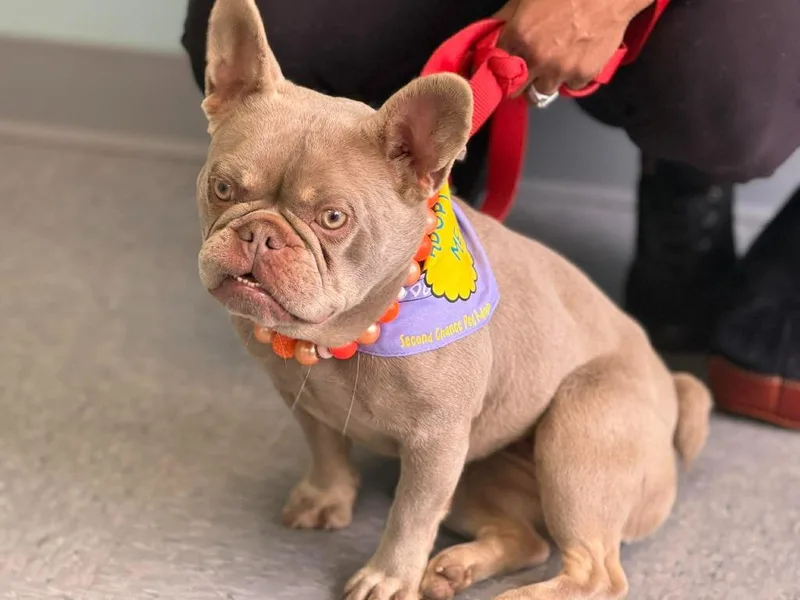 Hazel Lynn thumbnail 3