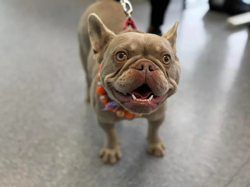 Hazel Lynn thumbnail 4