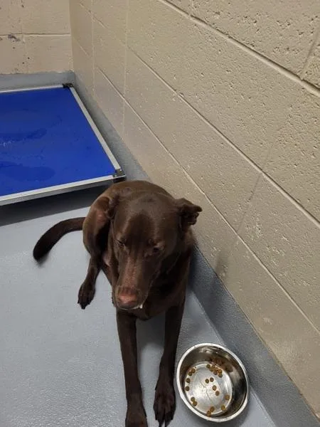 Pen  Canyon thumbnail 2