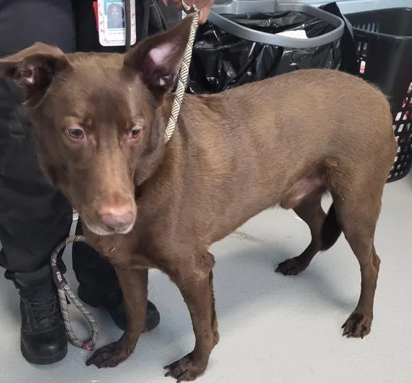 Pen  Canyon thumbnail 3