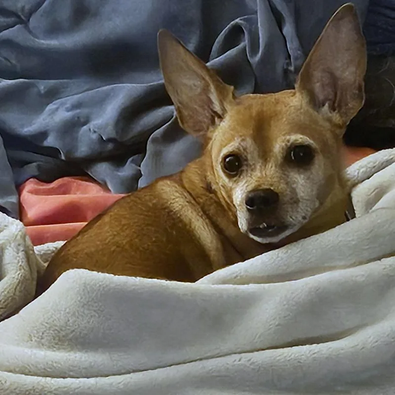 Chloe