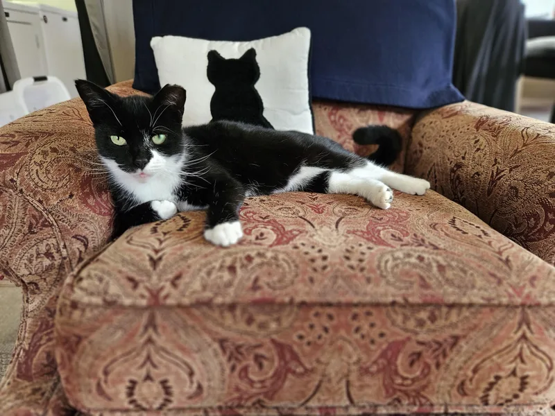 Scratchy thumbnail 2