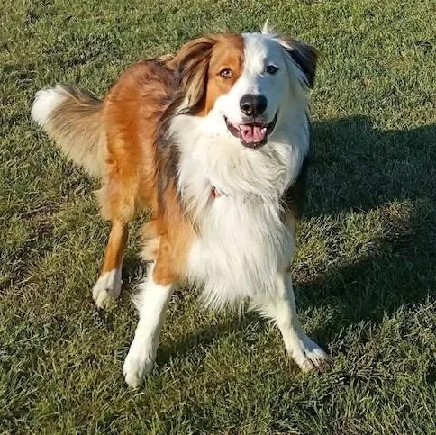 Peter Parker thumbnail 3