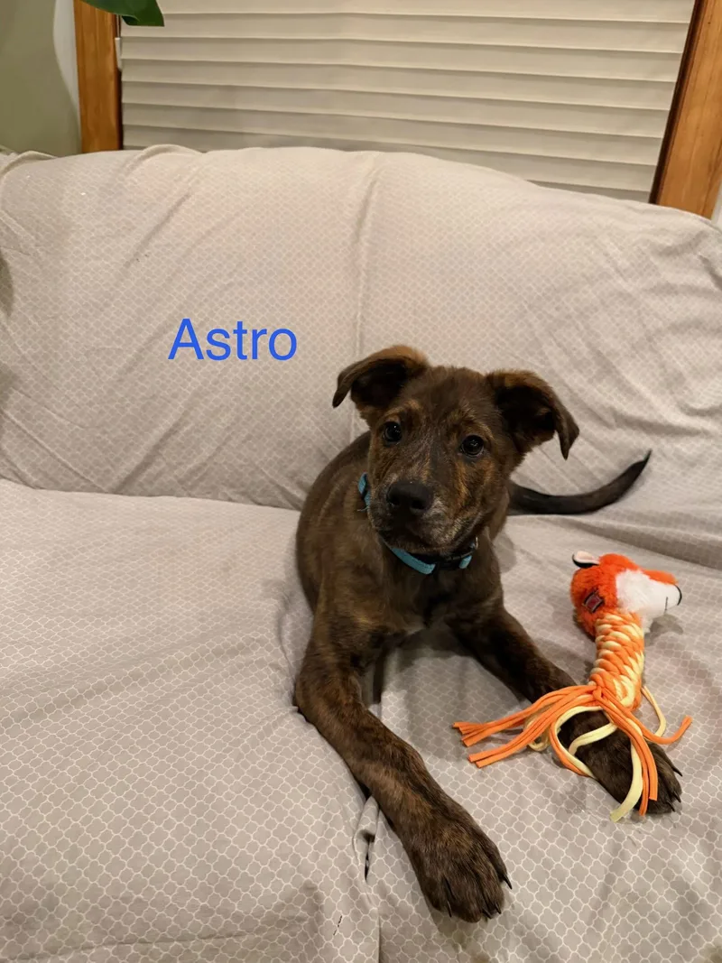 Astro