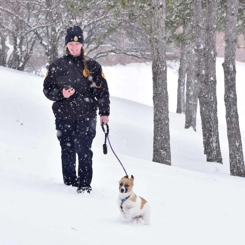 Bombur D thumbnail 4