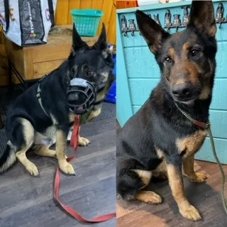 Fargofarley thumbnail 5