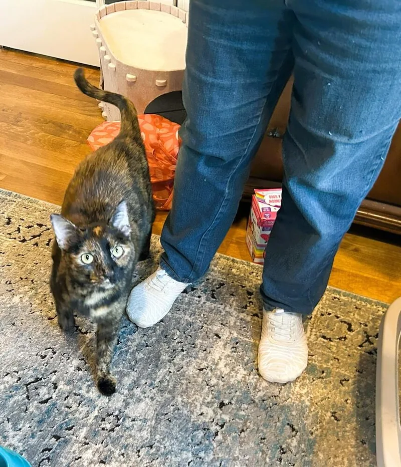 Monicaluna thumbnail 3