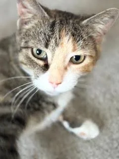 Smokey Young thumbnail 2