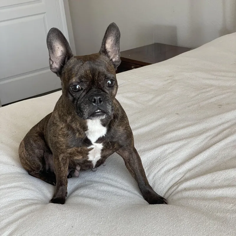 Cuddly Kali thumbnail 2