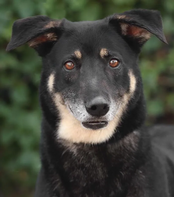 Hershey Von Bitz thumbnail 2