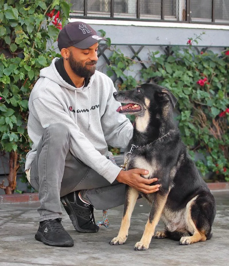 Hershey Von Bitz thumbnail 3