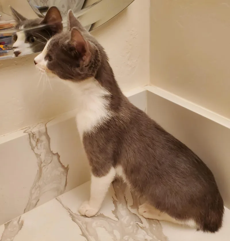 Willow Adair thumbnail 2