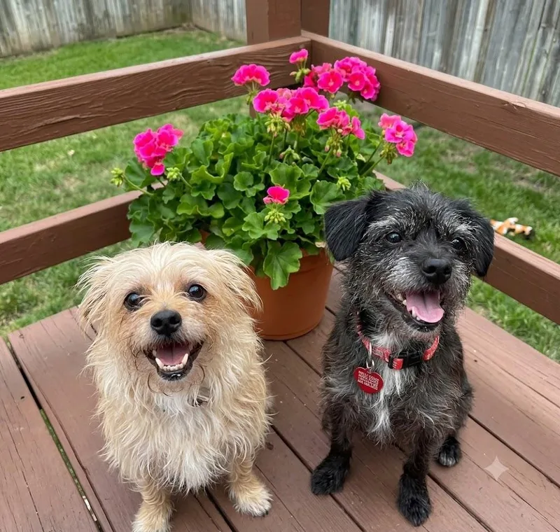 Tara & Zara