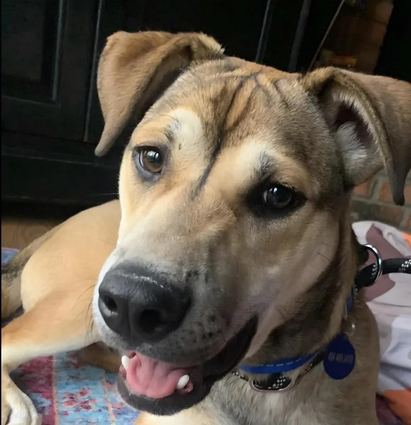 Nathaniel thumbnail 2