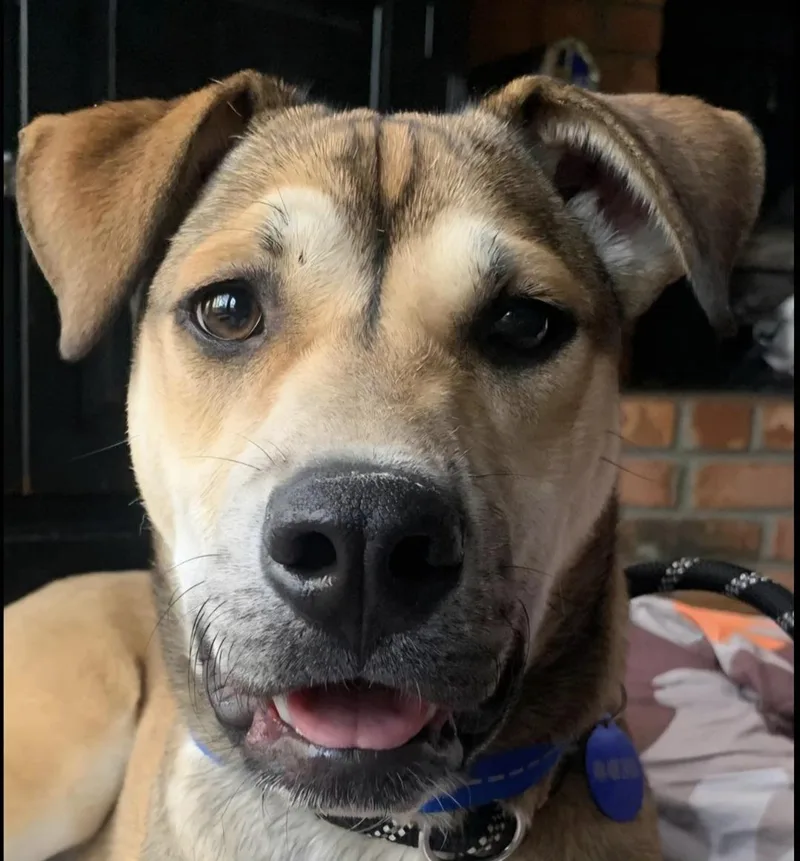 Nathaniel thumbnail 3