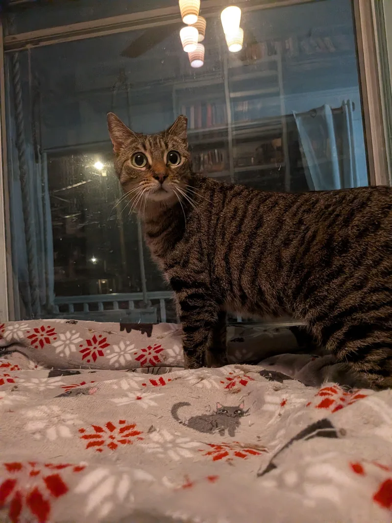 Farmer's Market Aka "markie" thumbnail 2