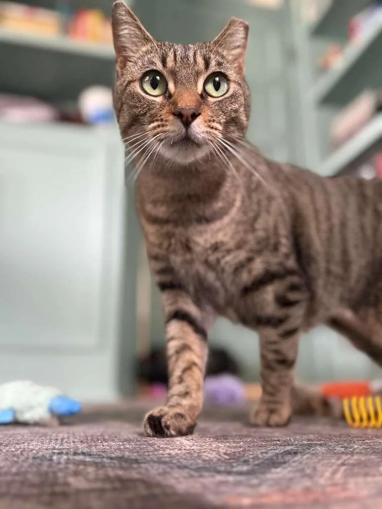 Farmer's Market Aka "markie" thumbnail 3