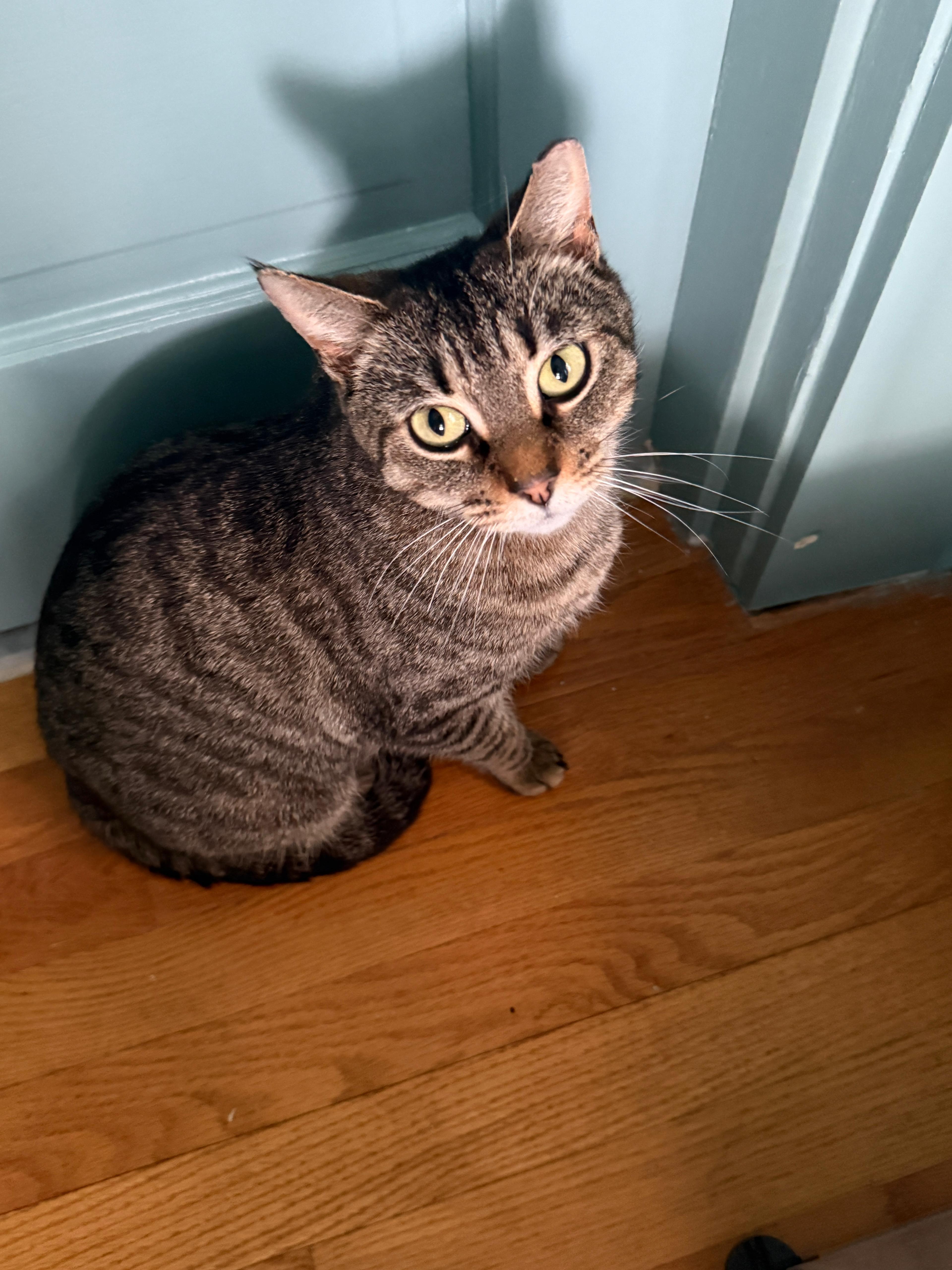 Farmer's Market Aka "markie" thumbnail 4