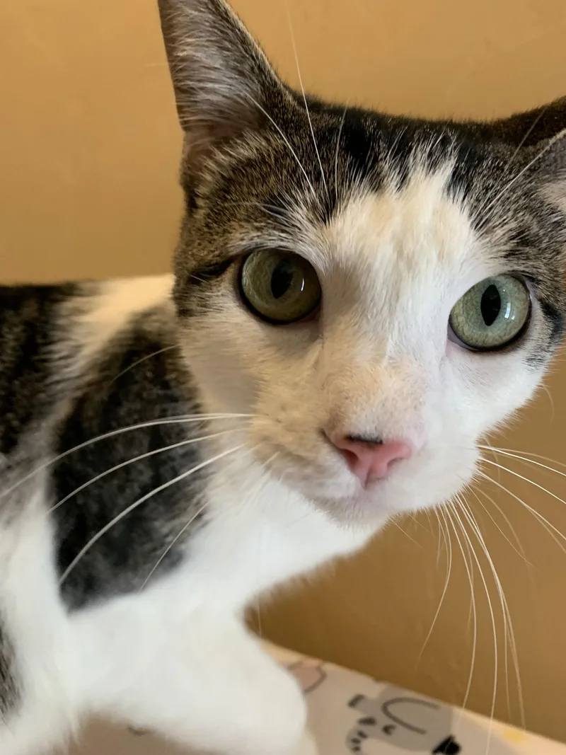 Deja Vu + A thumbnail 2