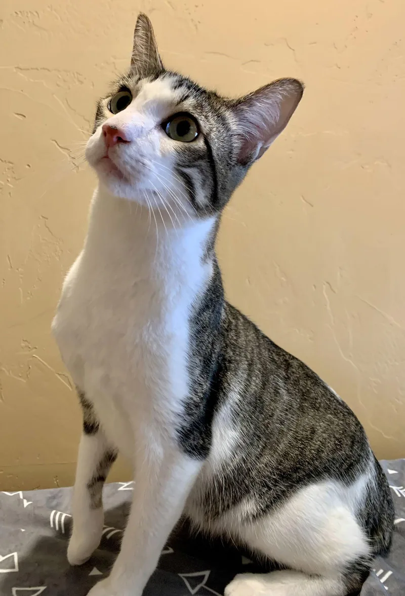 Deja Vu + A thumbnail 3