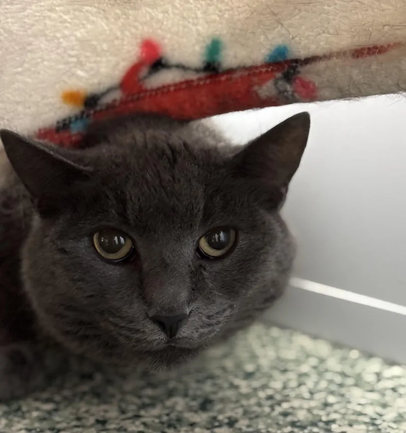 Snuggles thumbnail 2