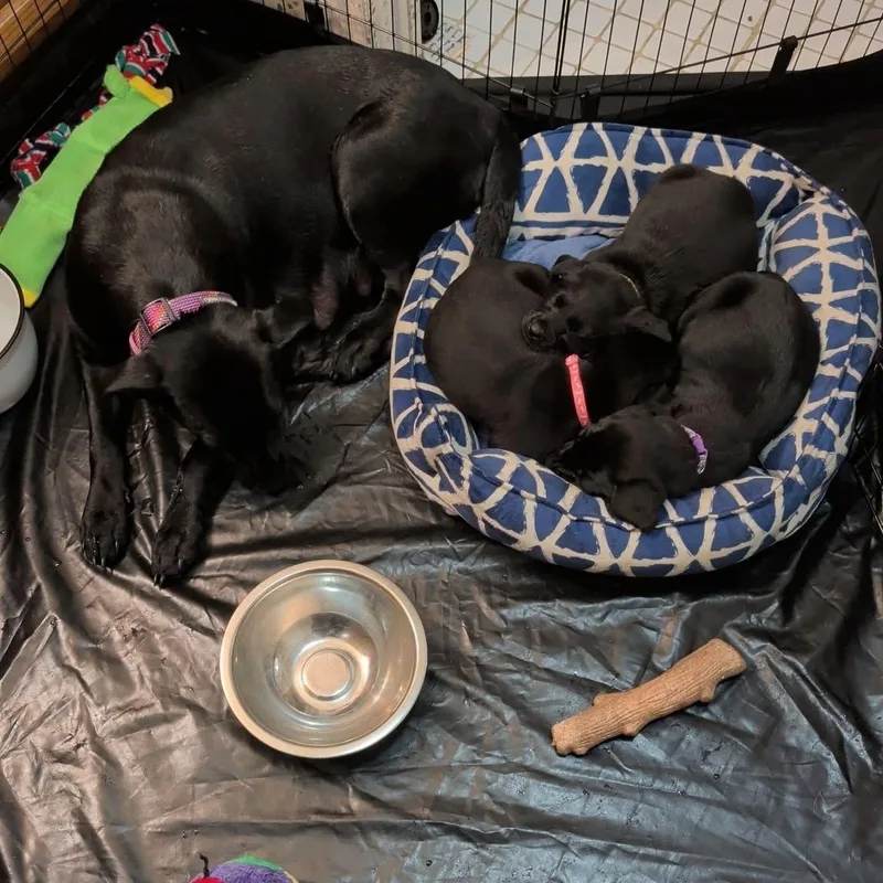 Wednesday thumbnail 2