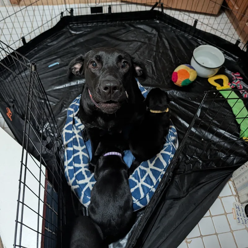 Wednesday thumbnail 3