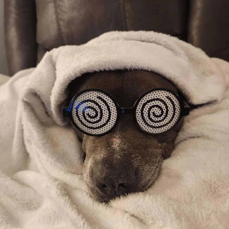 Chance Ironheart thumbnail 4