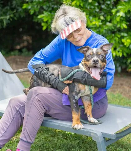 A young medium-sized male Mixed Breed dog named Fin Fin for adoption in Chamblee, GA