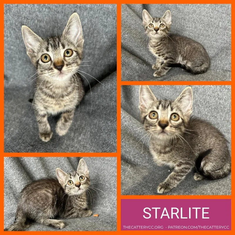 Starlite