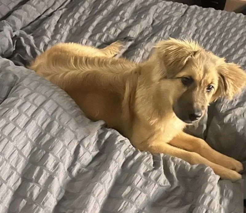 Lucy