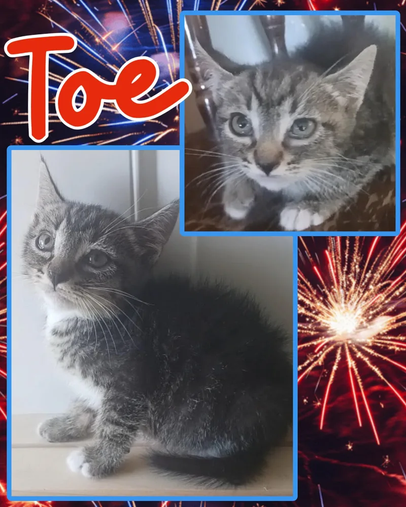 Toe