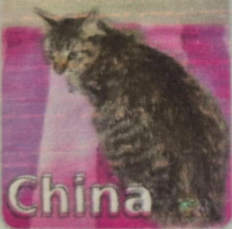 China thumbnail 2