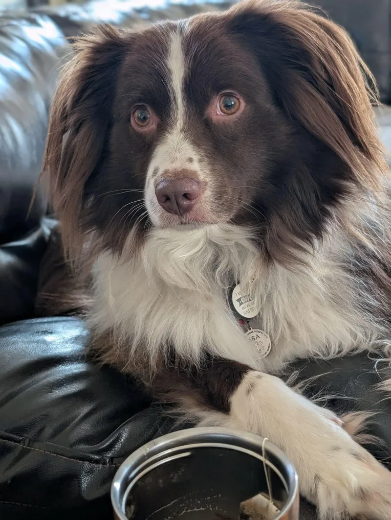 Sprocket thumbnail 2