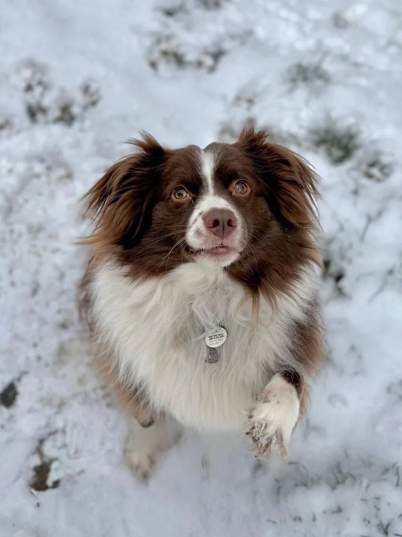 Sprocket thumbnail 3