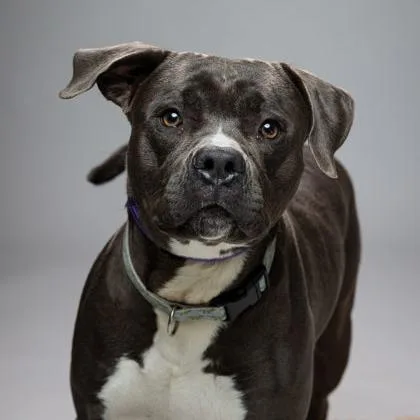 Little Man thumbnail 5