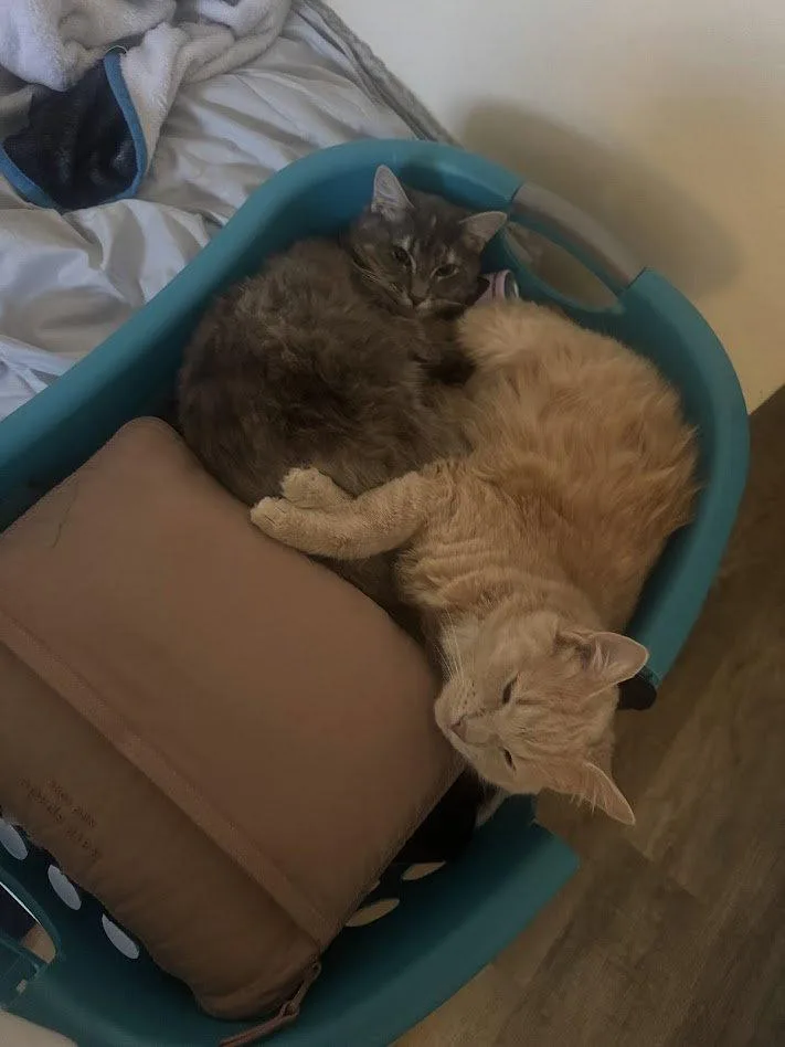 Sunny & Stormy thumbnail 2