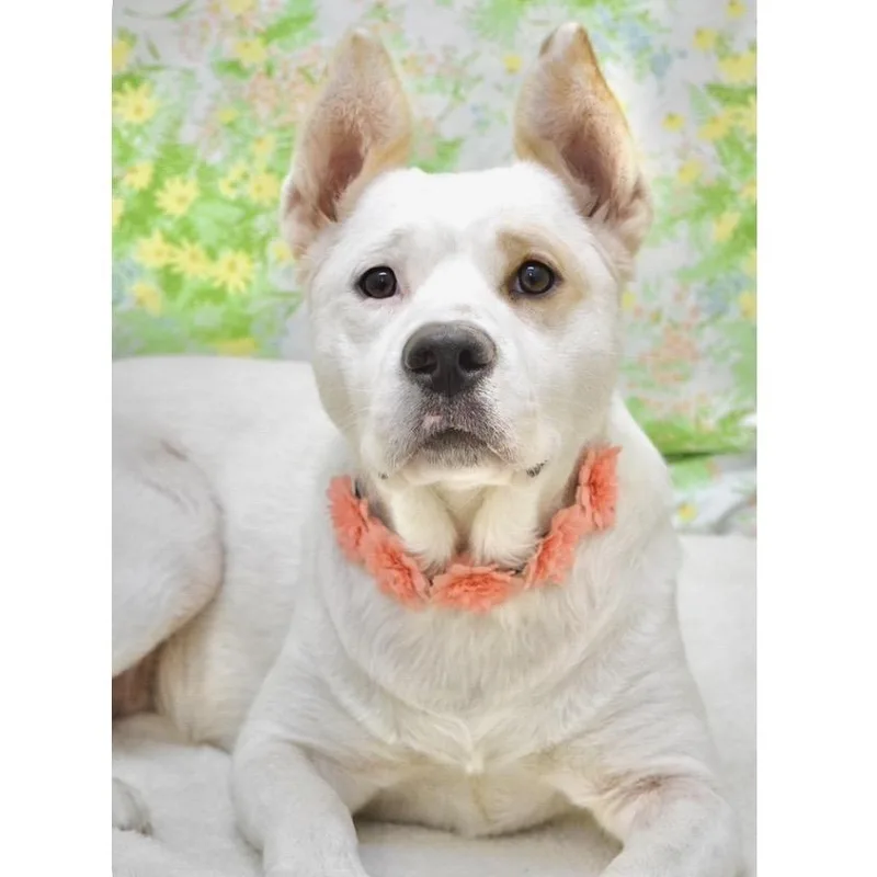 Matilda  Ecas thumbnail 2