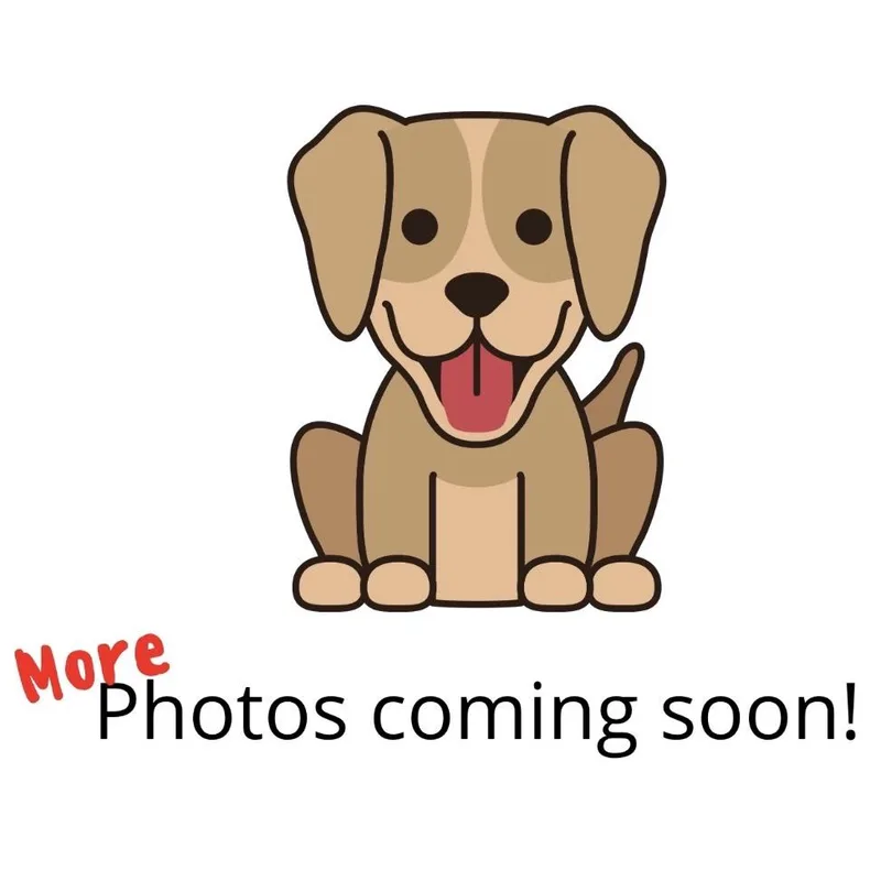 Matilda  Ecas thumbnail 3